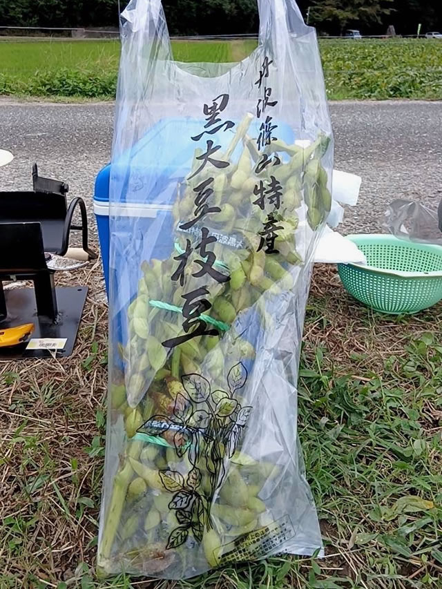 丹波篠山特産の極上枝豆（さやのみ）